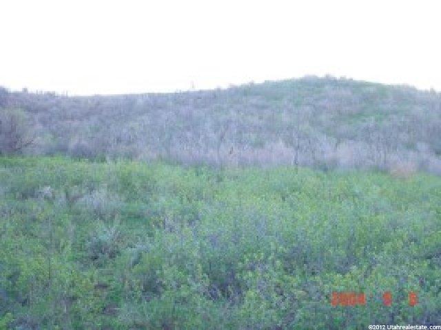 4500 E 32000 N, Fairview, UT 84629 — photo 3