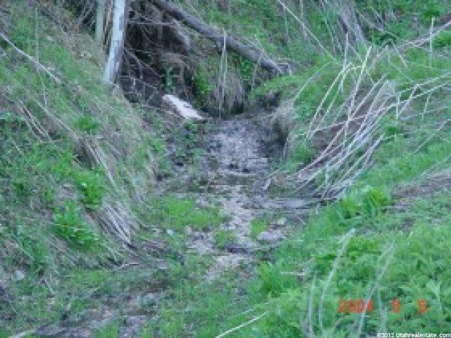4500 E 32000 N, Fairview, UT 84629 — photo 5