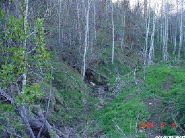 4500 E 32000 N, Fairview, UT 84629 — photo 6