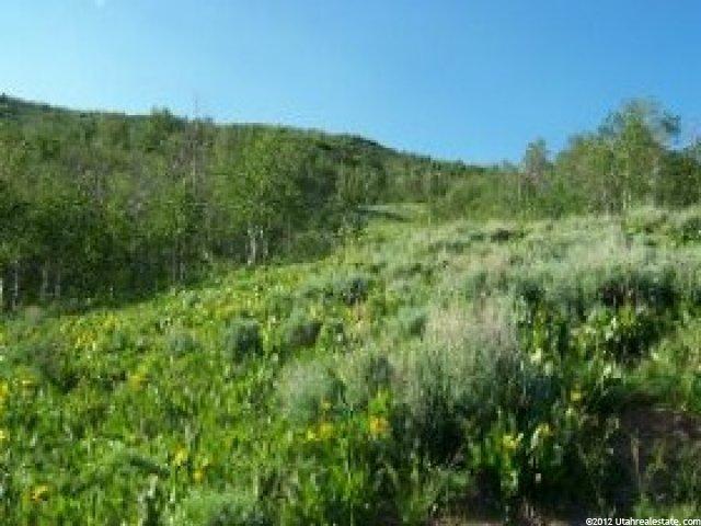 134 Canyon Rim #134, Oakley, UT 84055 — photo 6