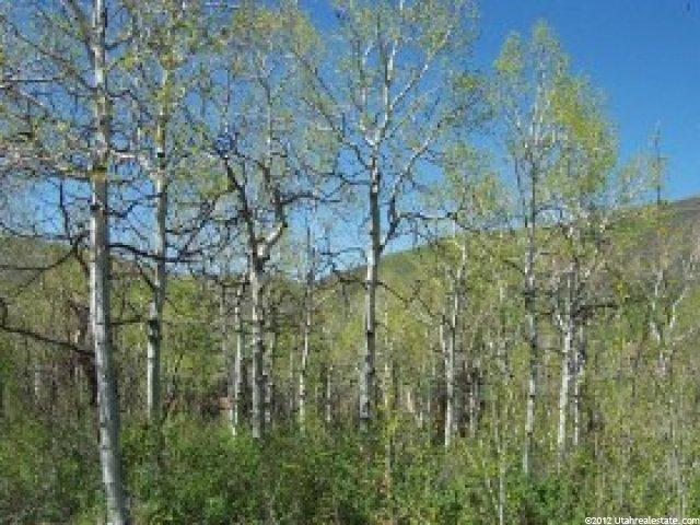134 Canyon Rim #134, Oakley, UT 84055 — photo 4