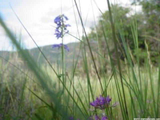422 Hideaway Vly #422, Fairview, UT 84629 — photo 6