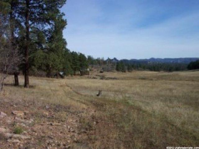 160 Highway, Castle Rock, CO 80104 — photo 2