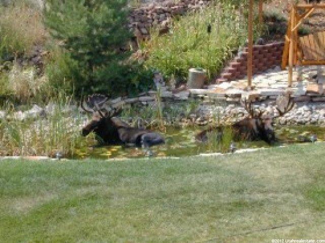 3675 Lariat Rd, Park City, UT 84098 — photo 2