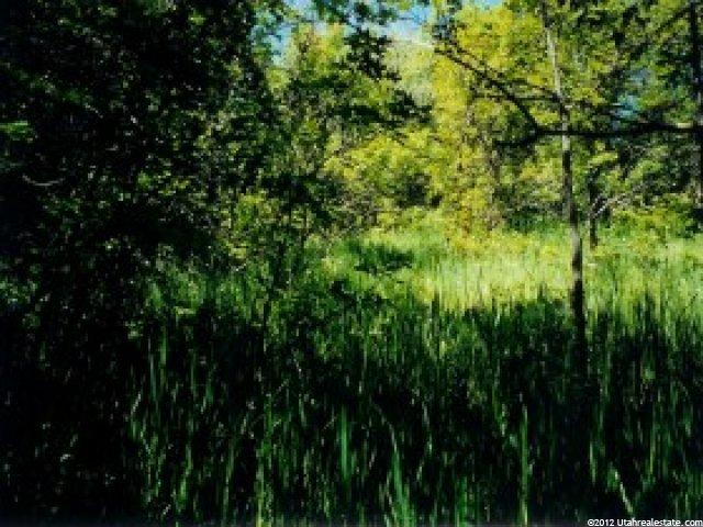 224 Summer Meadow Cir, Bountiful, UT 84010 — photo 5