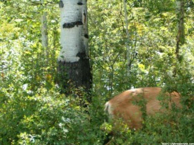 123 River Rd #123, Oakley, UT 84055 — photo 2