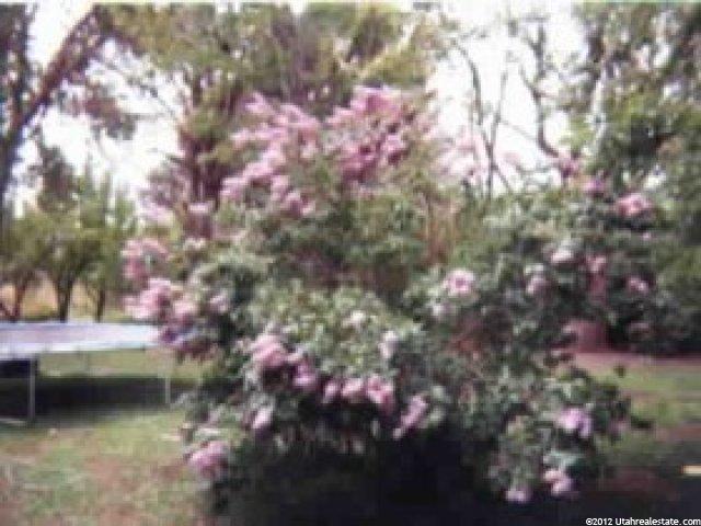 2379 E 6600 S, Uintah, UT 84405 — photo 7