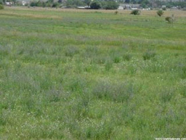 19600 N 8250 E, Mt Pleasant, UT 84647 — photo 2