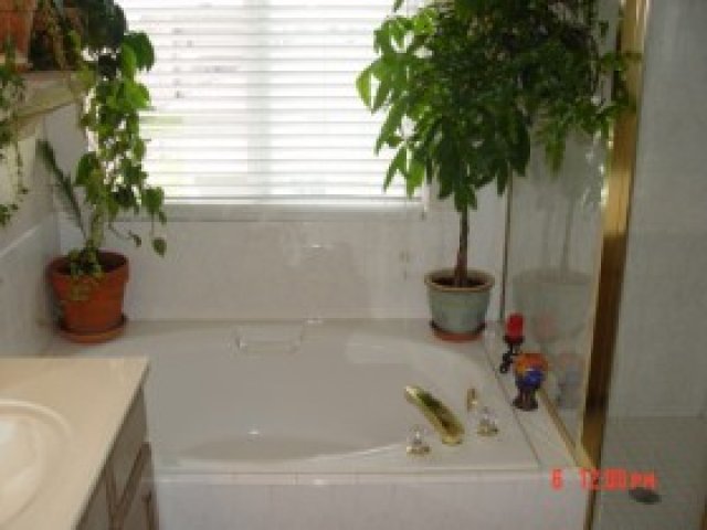 3341 N 1050 E, North Ogden, UT 84414 — photo 5