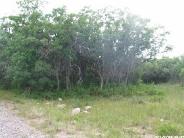 13595 E 21900 N #479, Mt Pleasant, UT 84647 — photo 2
