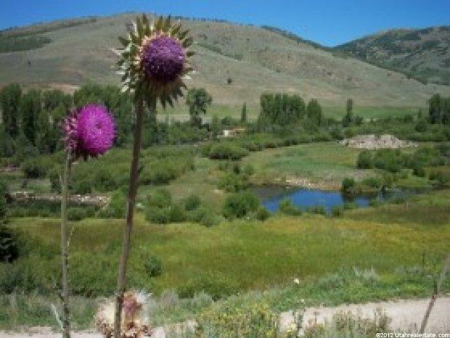 109 Hidden Lakes Rd, Oakley, UT 84055 — photo 6