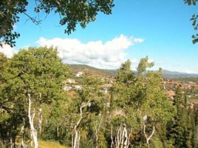 3353 Buckboard Dr, Park City, UT 84098 — photo 7