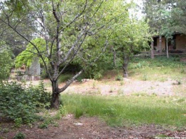 3624 E Brighton Pt S, Brighton, UT 84121 — photo 3