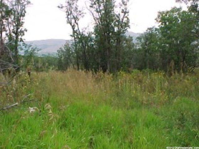 3540 E Nordic Valley Dr #1, Liberty, UT 84310 — photo 5