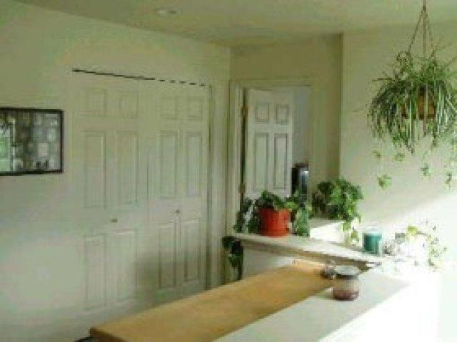 213 Mountain Peak Dr, Draper, UT 84020 — photo 6