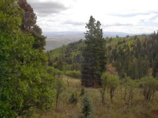 46 Apache Cir, Wanship, UT 84017 — photo 5