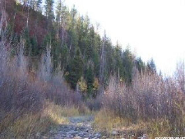 390 Weber Dr, Oakley, UT 84055 — photo 6