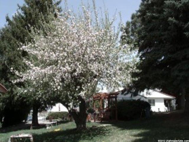 2715 W 4800 S, Roy, UT 84067 — photo 7