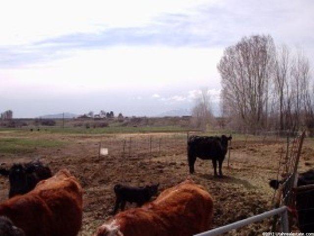 390 E Cannibal Rd, Cove, UT 84320 — photo 7