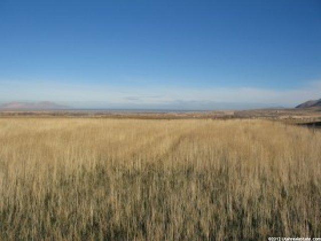 1162 E Tanglewood Rd #1, Erda, UT 84074 — photo 3