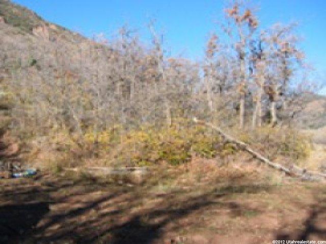 2512 W Weber Canyon Rd #1, Oakley, UT 84055 — photo 2