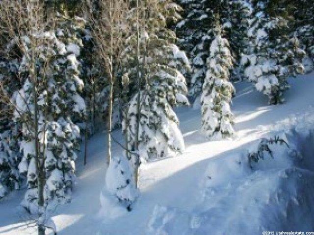 7869 Red Tail Ct, Park City, UT 84060 — photo 3