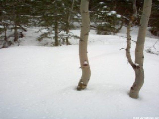 10 St Moritz Ter #18, Park City, UT 84098 — photo 4