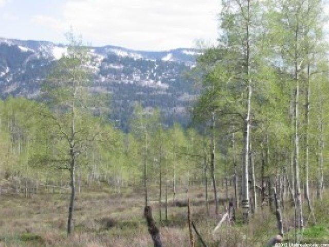 672 Beaver Spgs #672, Oakley, UT 84055 — photo 2