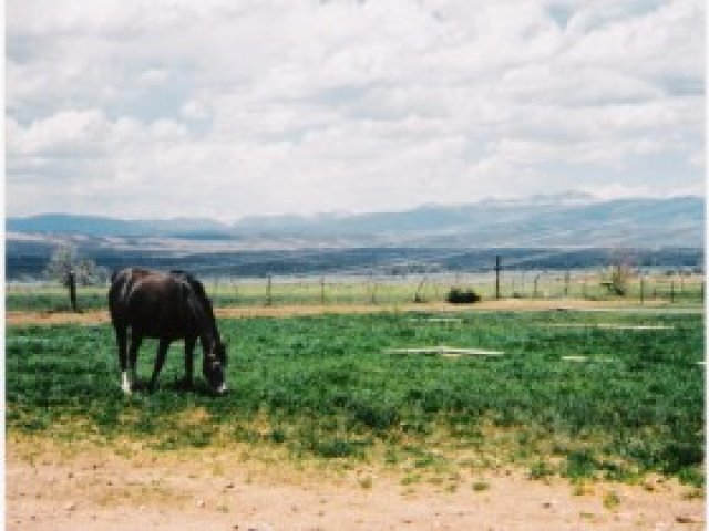 930 W 3000 S, Roosevelt, UT 84066 — photo 7