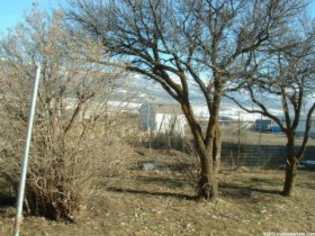 317 S State, Fairview, UT 84629 — photo 6