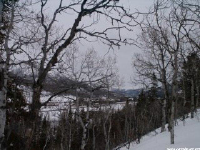 24 Uncompahgre Dr #24, Oakley, UT 84055 — photo 3