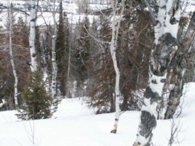 24 Uncompahgre Dr #24, Oakley, UT 84055 — photo 4