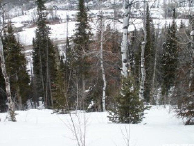 24 Uncompahgre Dr #24, Oakley, UT 84055 — photo 5