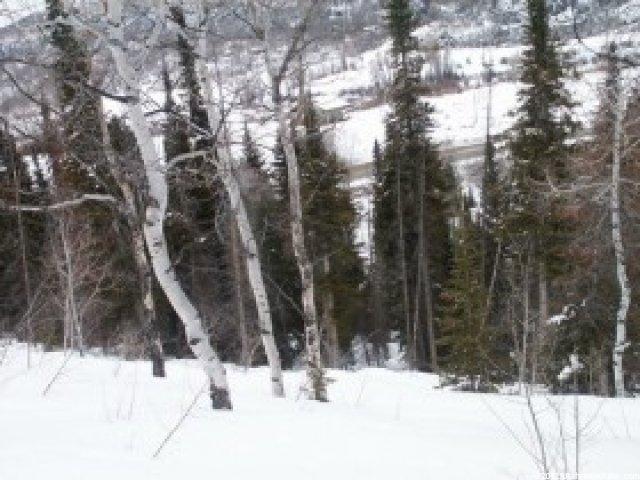 24 Uncompahgre Dr #24, Oakley, UT 84055 — photo 6