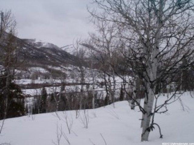 24 Uncompahgre Dr #24, Oakley, UT 84055 — photo 7