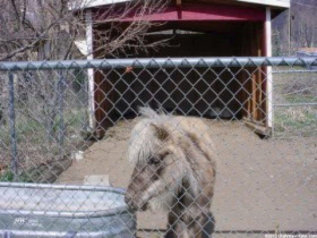 4398 N 350 W, Pleasant View, UT 84414 — photo 2