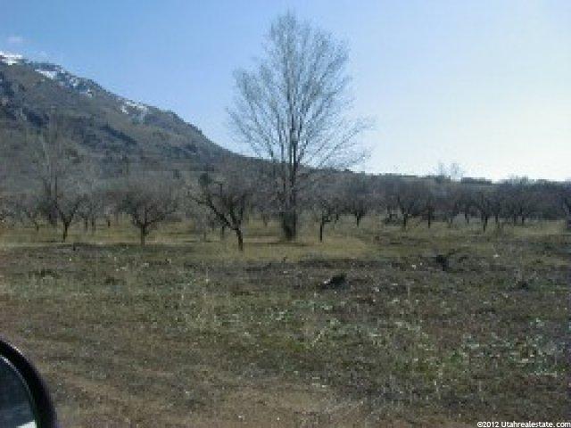 236 E Appaloosa Way #215, Willard, UT 84340 — photo 5