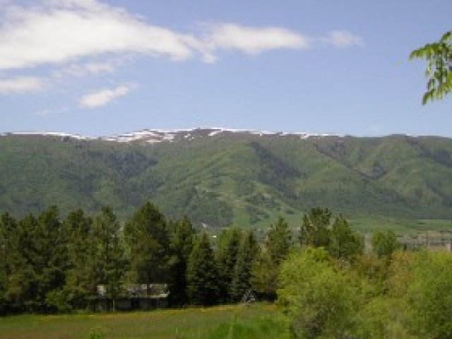 3390 N 5100 E, Eden, UT 84310 — photo 7