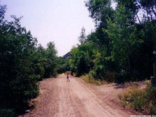 1084 Mount Tabby Dr, Tabiona, UT 84072 — photo 4