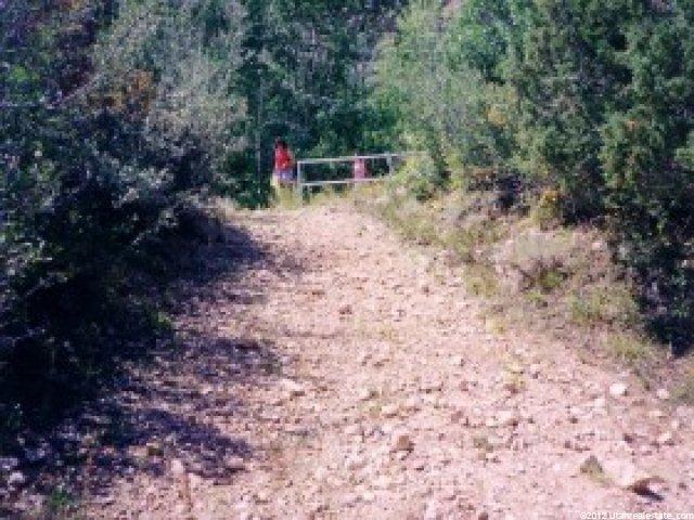 1084 Mount Tabby Dr, Tabiona, UT 84072 — photo 6
