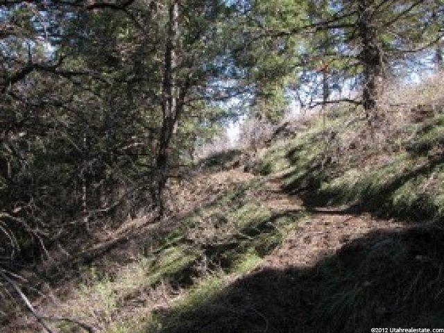 10573 E Spring Creek Dr N #717, Timber Lakes, UT 84032 — photo 2