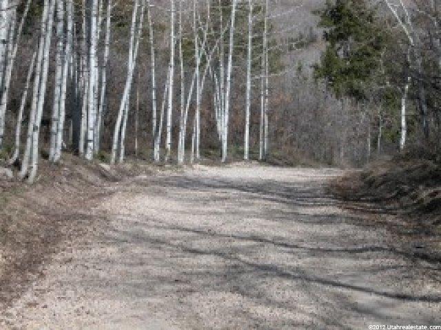 10573 E Spring Creek Dr N #717, Timber Lakes, UT 84032 — photo 3