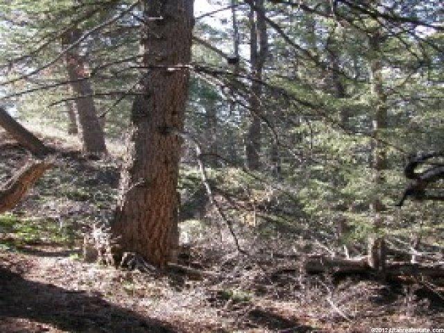 10573 E Spring Creek Dr N #717, Timber Lakes, UT 84032 — photo 4