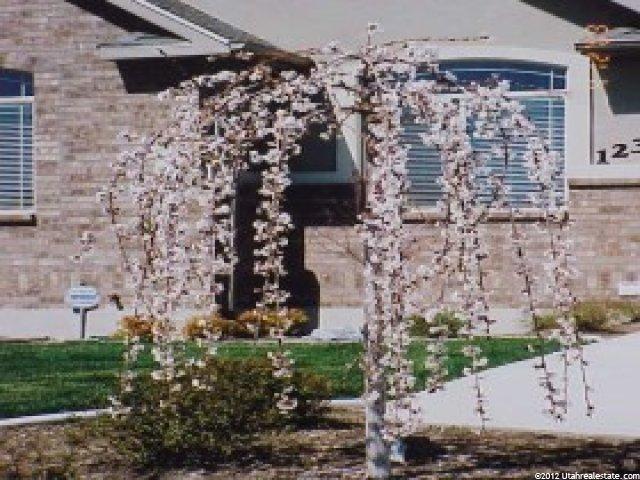 1237 E 650 N, American Fork, UT 84003 — photo 8
