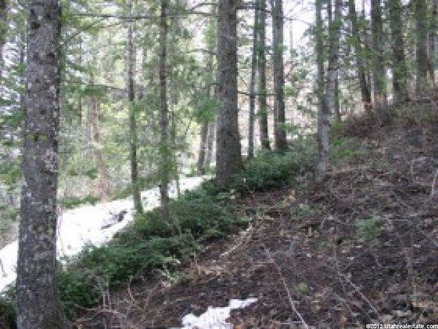 135 Lower Evergreen Dr #32, Park City, UT 84098 — photo 4