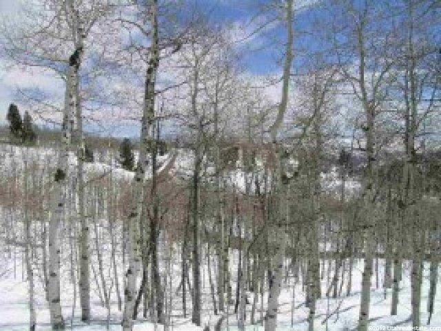 2324 S Pine Meadow Dr, Wanship, UT 84017 — photo 4