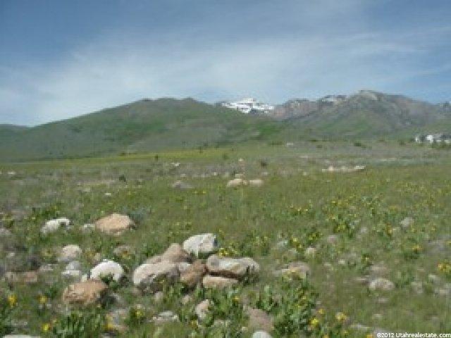 28 Eagle Rdg #28, Eden, UT 84310 — photo 4