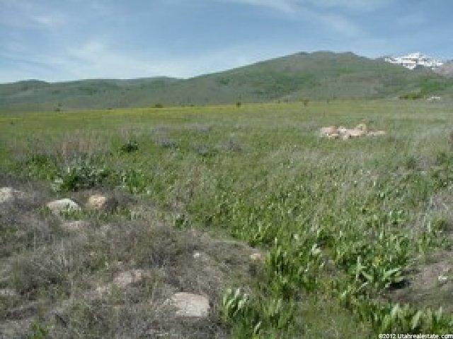 3849 Ridge Rd #36, Eden, UT 84310 — photo 5