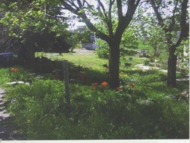 1681 N Hargis Hills Rd, Willard, UT 84340 — photo 3