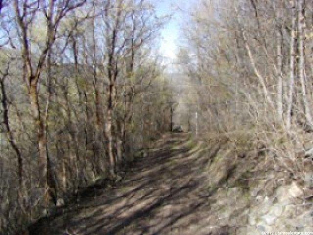 40 Oak Hvn, Midway, UT 84049 — photo 5